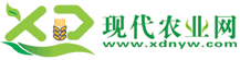 Logo-xdnyw-com.gif