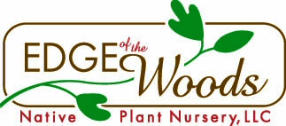 Logo-edgeofthewoodsnursery-com.jpg