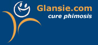 Logo-glansie-net.gif