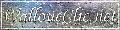 Logo-walloueclic-net.jpg