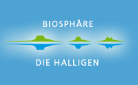 Logo-halligen-de.jpg
