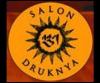 Logo-salonsinvirginia-com.jpg