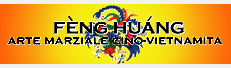 Logo-fenghuang-org.png
