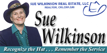 Logo-suewilkinsonrealestate-com.gif