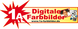 Logo-copy-point-pankow-de.gif