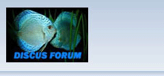 Logo-discusforum-dk.gif