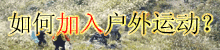Logo-d9sj-com.gif