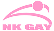 Logo-hhzvplons-nl.jpg