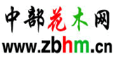 Logo-zbhm-com.gif