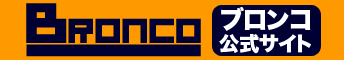 Logo-bpro-info.gif
