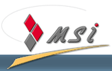 Logo-msi-es.gif