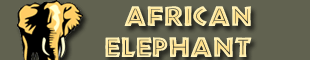 Logo-africanelephantlearningzone-com.gif