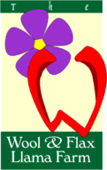 Logo-napallama-com.gif