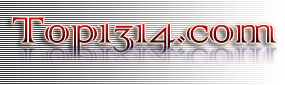 Logo-top1314-com.gif