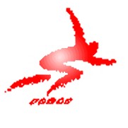Logo-torontoinlinespeed-com.jpg