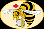 Logo-hamiltonrugby-com.gif