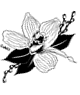 Logo-awestsideflorist-com.gif