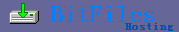 Logo-bitfiles-net.jpg