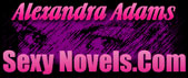 Logo-sexynovels-com.jpg