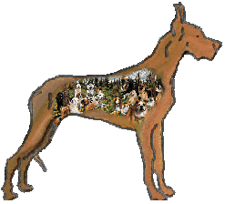 Logo-desertdane-com.gif