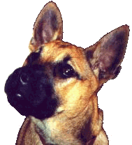 Logo-die-augenweide-de.gif