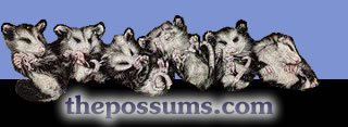 Logo-thepossums-com.jpg
