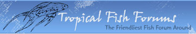 Logo-fishforums-net.jpg