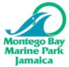Logo-mbmp-org.jpg