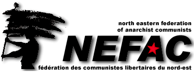 Logo-nefac-net.png