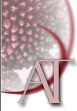 Logo-anticaterra-it.jpg