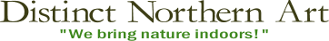 Logo-distinctnorthernart-com.png