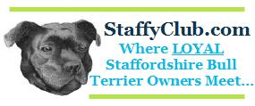 Logo-staffyclub-com.jpg