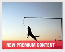 newpremiun.jpg