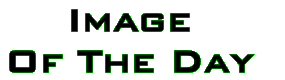 Logo-imageoftheday-org.gif