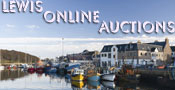 Logo-lewisonlineauctions-co-uk.gif
