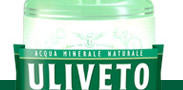 Logo-uliveto-it.jpg
