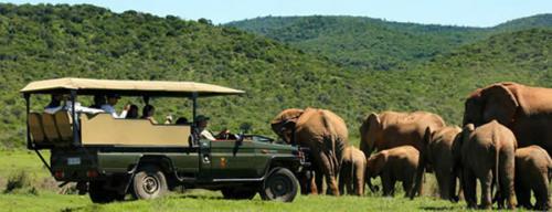 africansafaris.jpg