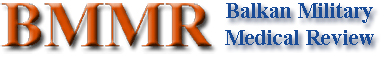 Logo-bmmr-info.jpg