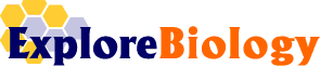 Logo-explorebiology-com.gif