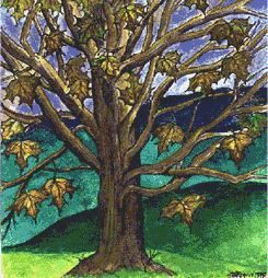Logo-nyslittree-org.gif