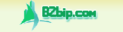 Logo-b2bip.gif