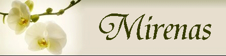 Logo-e-netton-net.gif