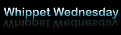 Logo-whippetwednesday-net.gif
