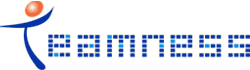 Logo-teamness-com.gif