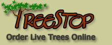 Logo-treestop-com.jpg