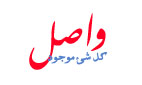 Logo-pf4it-com.jpg