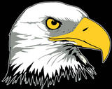 Logo-ncathleticboosters-org.jpg