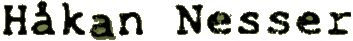 Logo-nesser-se.gif