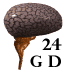 Logo-gehirndiscount24-de.gif