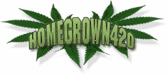 Logo-hg420-com.gif
